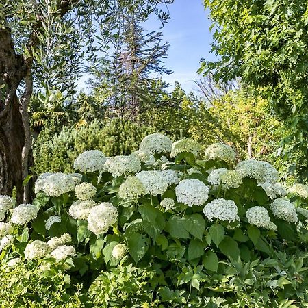 B&B Villa Adriano Desenzano del Garda Bagian luar foto